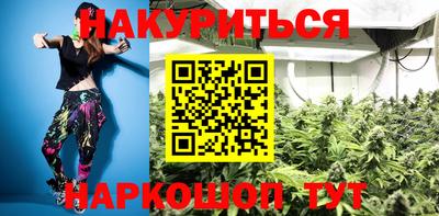 индика Камышлов
