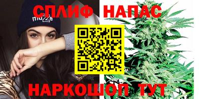 ПСИЛОЦИБИНОВЫЕ ГРИБЫ Кингисепп