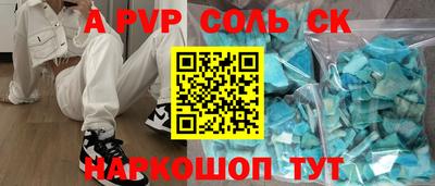 индика Камышлов