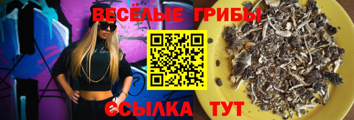 Псилоцибиновые грибы мицелий  Вход с VPN  Галлюциногенные грибы Cubensis  Йошкар-Ола 