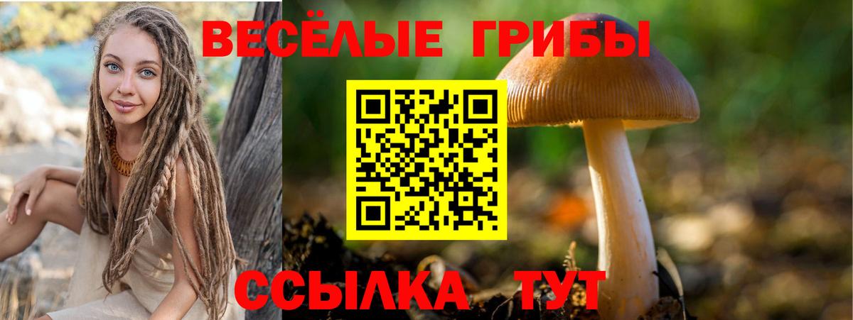 Галлюциногенные грибы мухоморы Йошкар-Ола